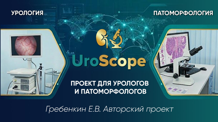 UroScope. Проект для урологов и патоморфологов. Выпуск №5. «Морфологические аспекты мужского бесплодия»